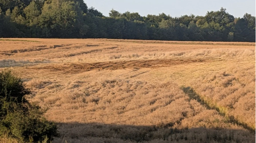 Польща продовжить розслідування падіння російської ракети за участі українського експерта